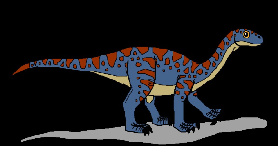 Kuku Mussaurus